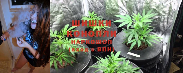 трава Вязьма