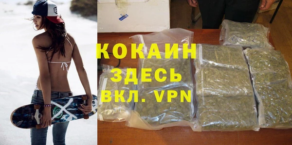 трава Вязьма