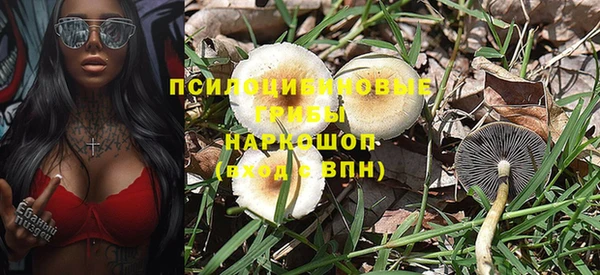 трава Вязьма