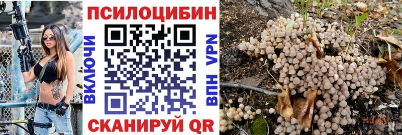 Купить где Мыски Галлюциногенные грибы мухоморы